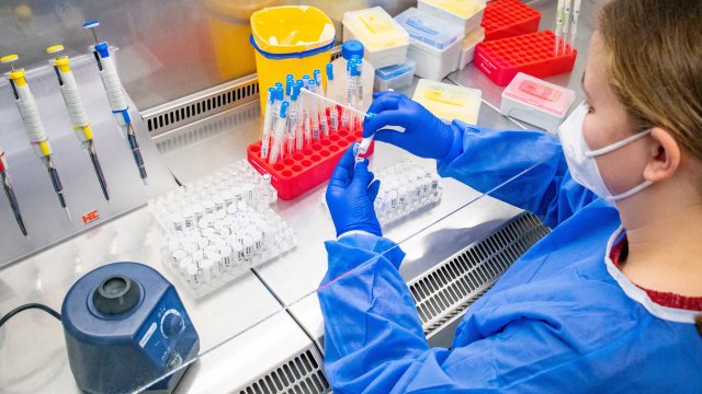 Броят на новите случаи на заразени с Ковид 19 в света