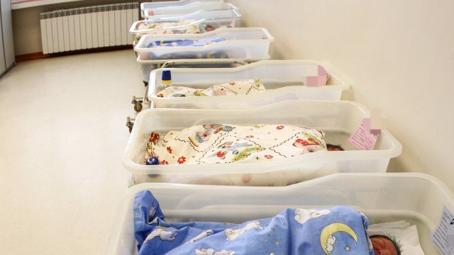 Районната прокуратура разследва информация в медиите за разменени бебета в
