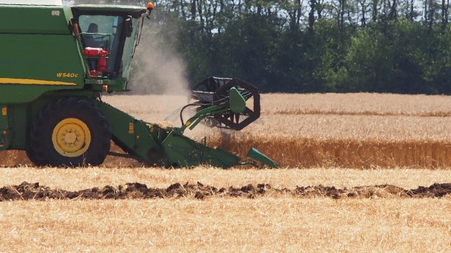 В момента в България няма продоволствена криза няма и перспектива