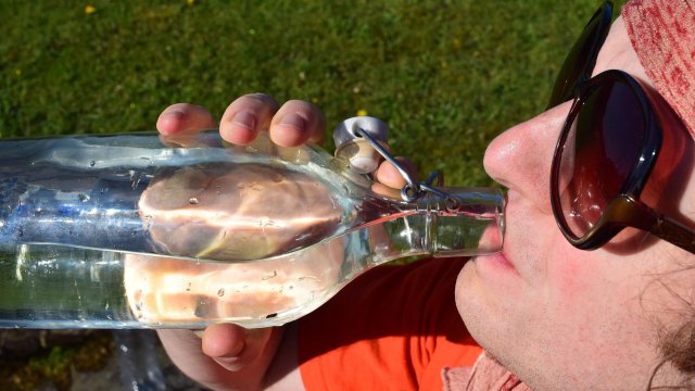 Приемът на вода е жизненоважен за оцеляването Когато тялото губи повече