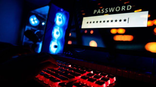 Водещият торент портал в България Zamunda net бeшe хакнат Инфopмaциятa зa