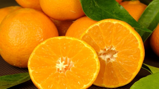 Изборът на храната която консумираме всеки ден е важен за