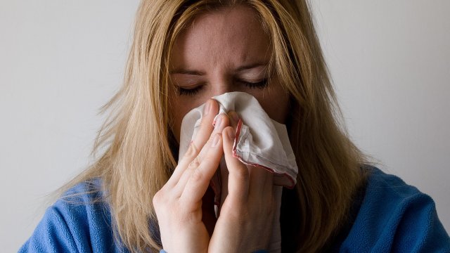 Нормално алергиите се свързват с настъпването на сезоните пролет и