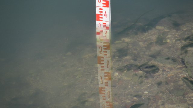 Нивото на река Дунав при Русе днес е на сантиметър