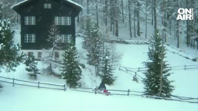 Необичайна кампания предприе двойка от Швеция Те събират пари за