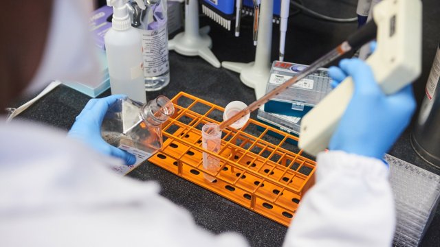 Тази година грипният вирус се разпространява в Европа с много