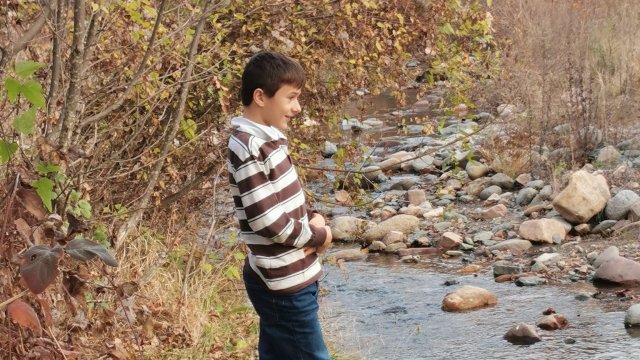 Специалисти проверяват отново и по обстойно труднодостъпни места за да открият