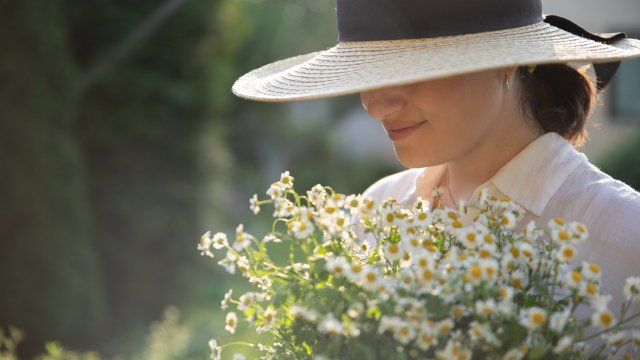 Лайката е сред най разпространените билки не само у нас но