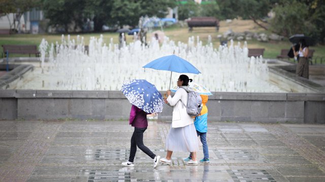 Жълт код за опасно време е обявен за утре в