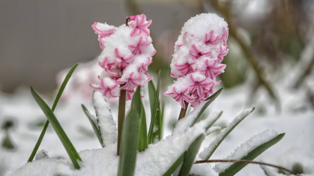 Днес ще преобладава облачно време До обяд на места в
