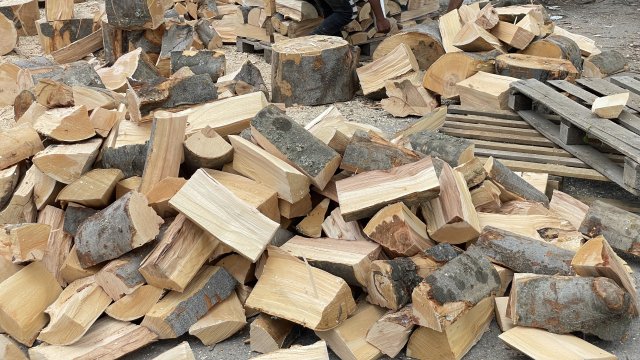 Мъж от първомайското село Дълбок извор е глобен за бракониерство