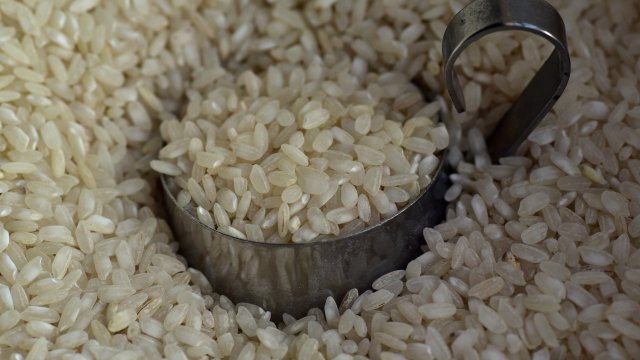 Оризът е една от най популярните зърнени храни в цял свят