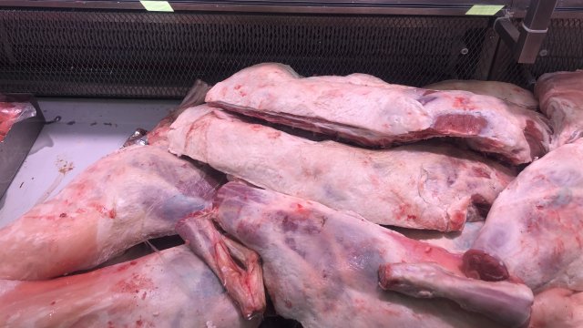 През първото полугодие на 2022 година България е внесла десет