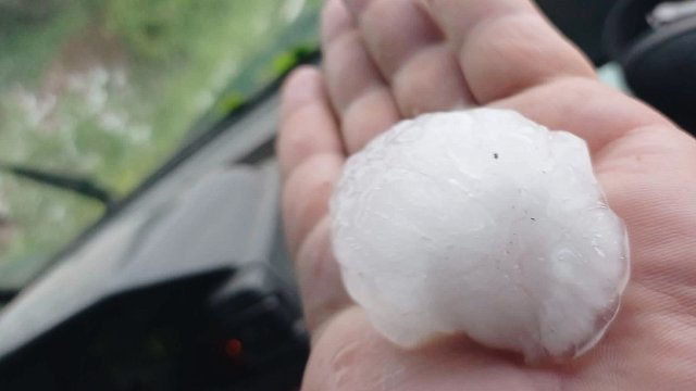 20 месечно момиченце е починало след като е било ударено от