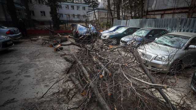 Във Враца започват да описват щетите след ураганния вятър който нанесе