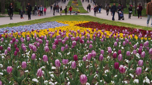 В платформата ни за граждански сигнали helpbook info получихме сигнал за