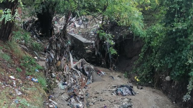 По разпореждане на министъра на земеделието Явор Гечев започна вътрешна