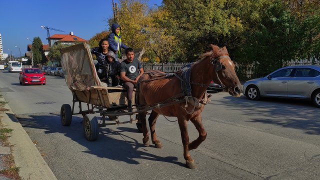 От 1 юни 2022 г се забранява движението на коне
