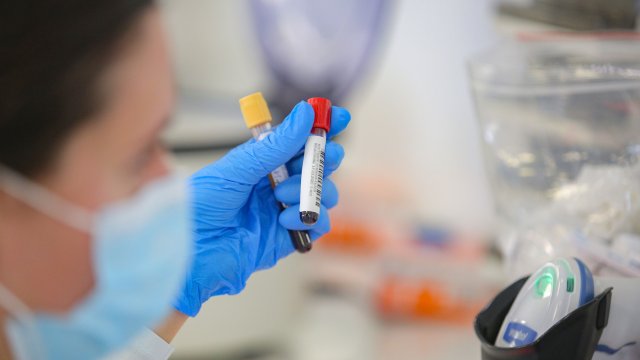 131 са новите случаи на коронавирус в България показват актуализираните