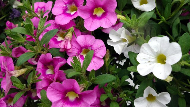 С настъпването на топлите дни прекарваме повече време на открито