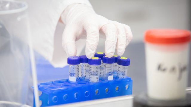 147 души са регистрирани с коронавирус у нас през изминалото