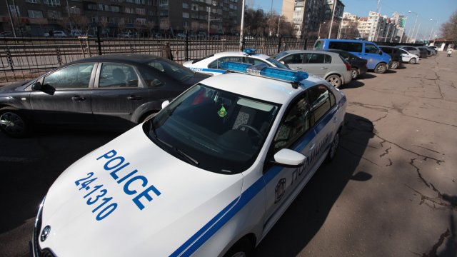 Шкода рапид полиция