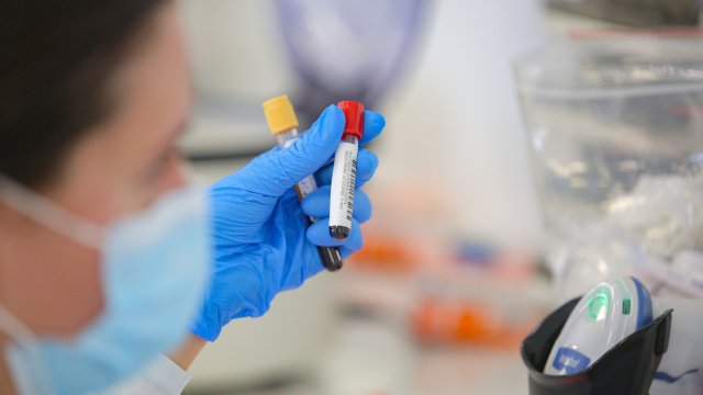292 нови случая на коронавирус са били регистрирани през последното