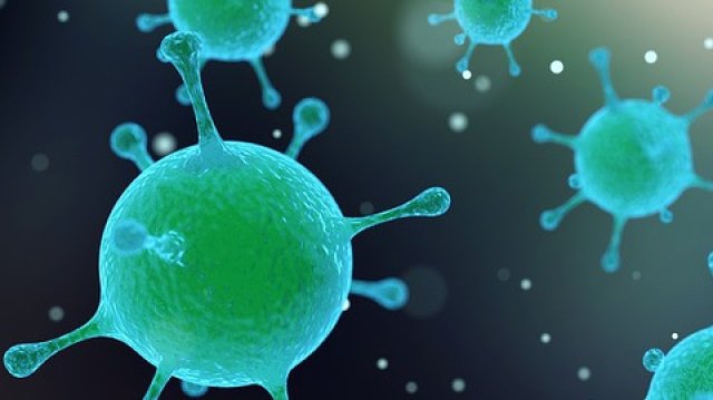 Риновирусите са изолирани за първи път преди 50 години от пациенти