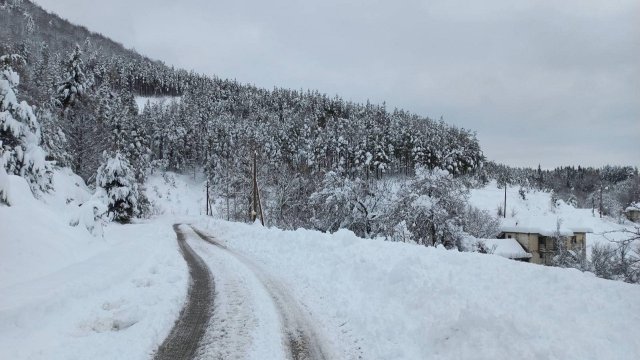 Обилният снеговалеж в Родопите предизвика проблеми по пътищата ТИР ове са