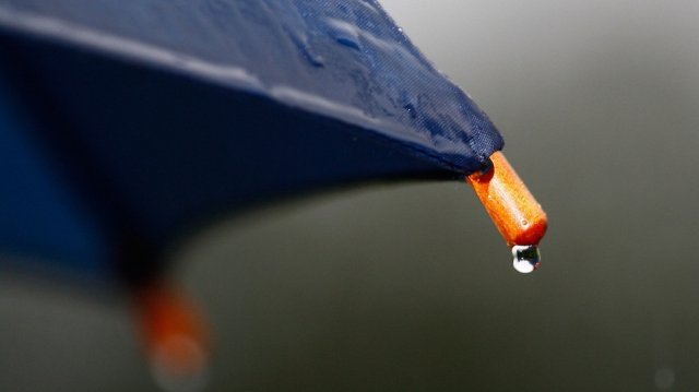 Жълт код за силен вятър е обявен в 15 области