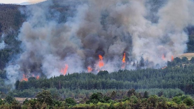 Продължава гасенето на огромния горски пожар между панагюрските села Елшица