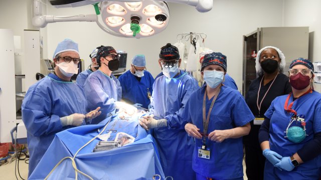 Американец стана първият човек с трансплантирано сърце от прасе с