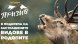 Призив – в подкрепа на застрашените видове в Родопите отправя