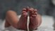 Няма задържани за смъртта на двумесечното бебе в свищовското село