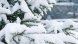 Обилен снеговалеж има над по голямата част от страната Очакваната