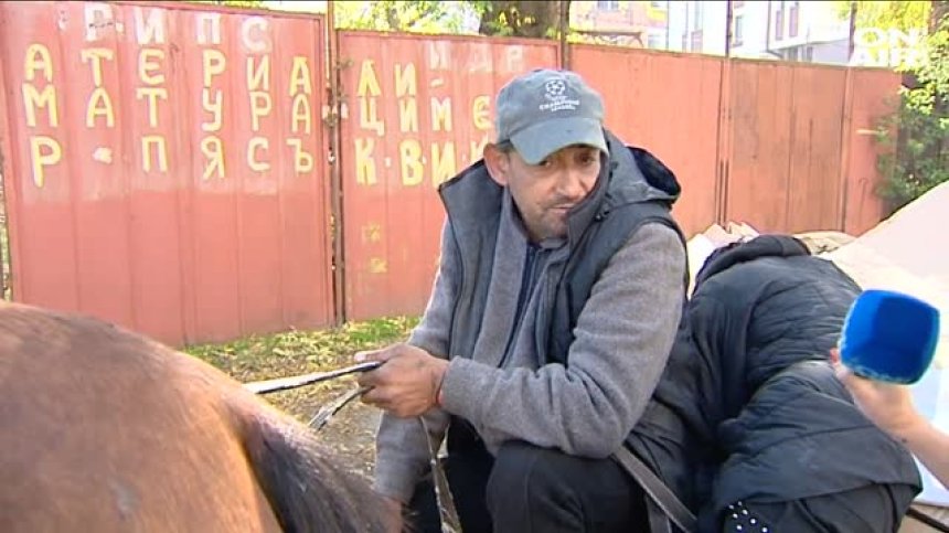 Веганите се загрижиха и за конете, излизат на протест срещу каруците в София