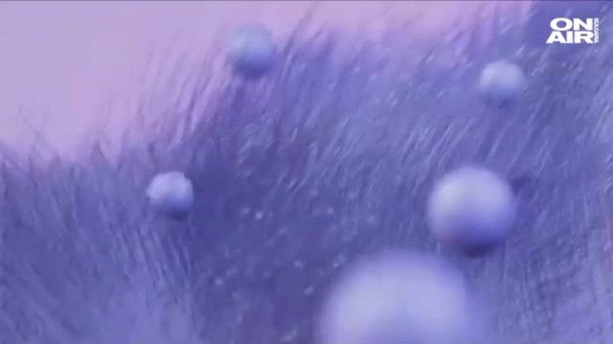 Между реалния и цифровия свят - определиха цвета на 2022 г. (+ВИДЕО)