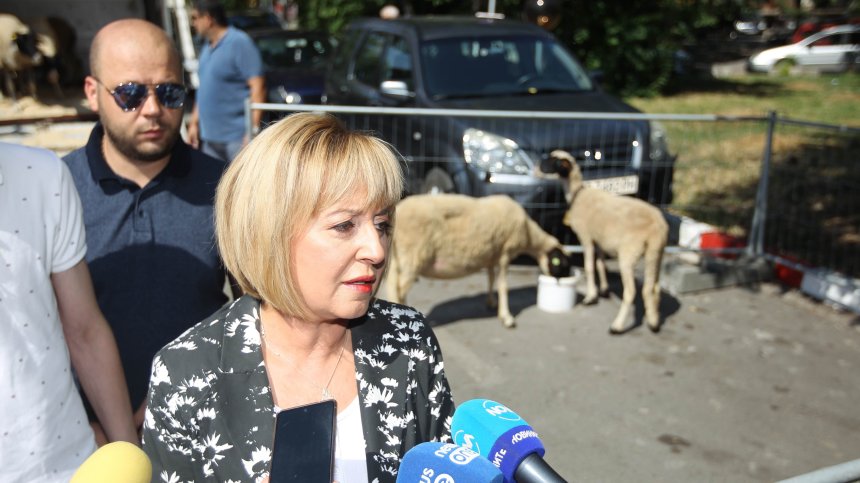 Мая Манолова стовари овце на бензиностанция, намеси се полицията