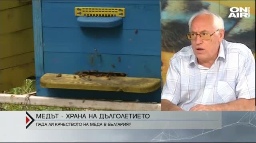 Медът &ndash; храна на дълголетието