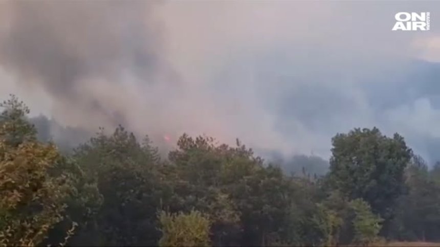 Борят се с огъня в гората край Кирково, около 20 души са напуснали домовете си