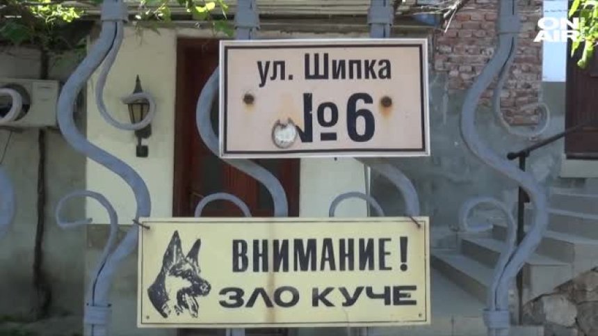Домашно куче нахапа зверски 2-годишно дете в Крумово