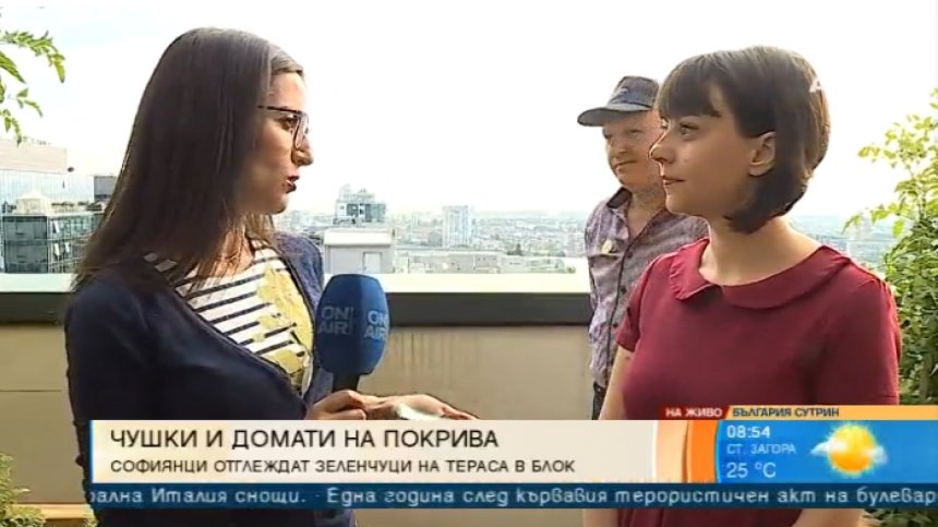 Градината, която живее на покрива: Земеделие в градска среда