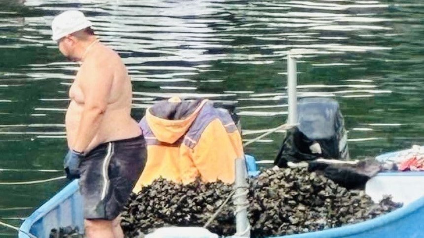 Инспектори на ИАРА хванаха мъж, извадил незаконно 75 кг черна морска мида
