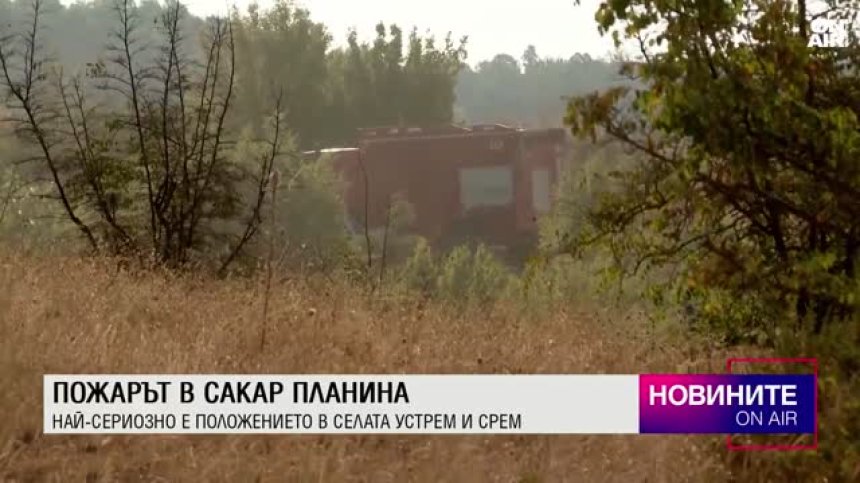 Обедна емисия