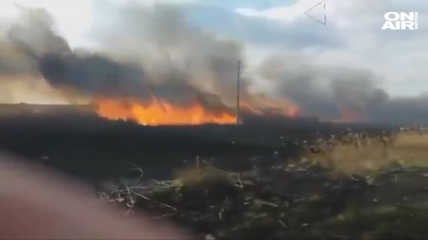 Пак пожар в защитена местност: Гори Дуранкулашкото езеро