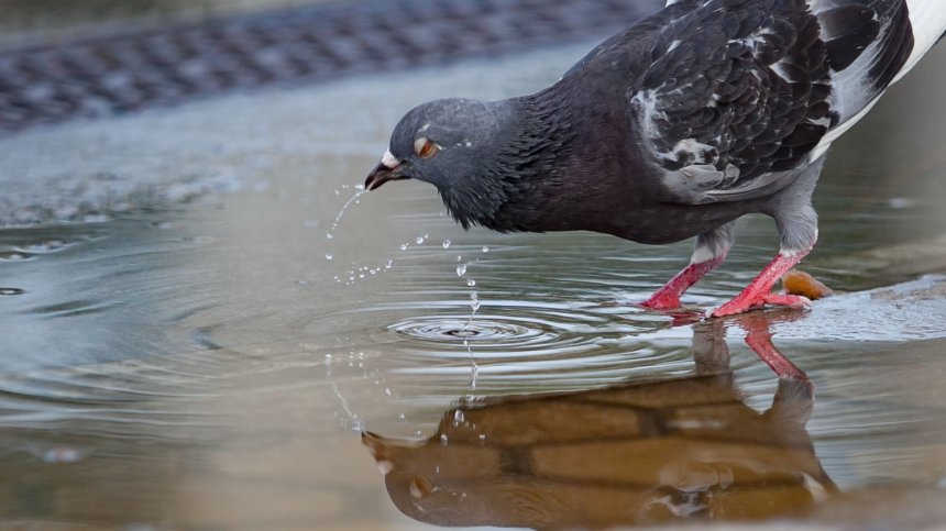 Изпращаме седмицата с горещо време, живакът скача до 37°