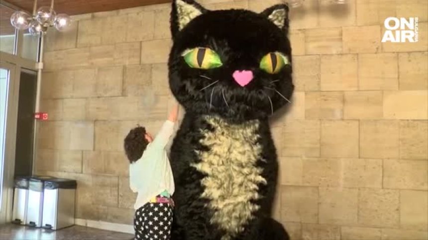 В столицата на хумора Габрово кръстиха известното коте без опашка