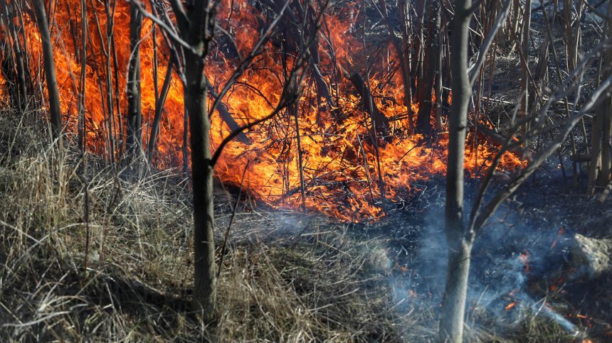 Спешен апел за доброволци при гасенето на пожари в Асеновград и село Искра