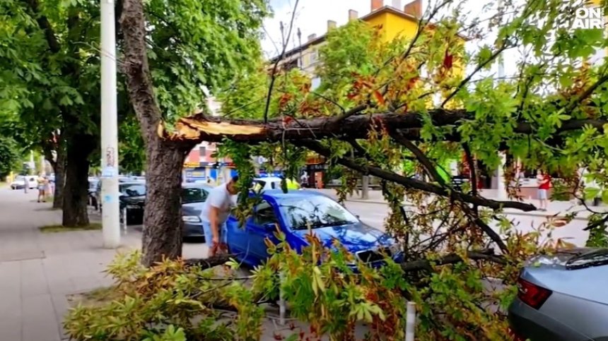 Мощна буря удари Русе и блокира пътища