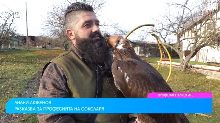 Какво е да отглеждаш най-бързата птица на планетата